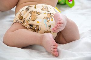 pampers maxi ile sztuk