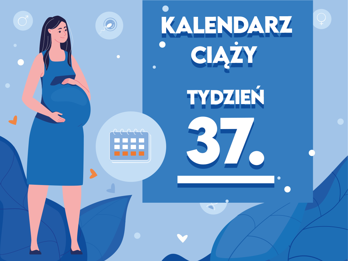 pampers premium care 1 rzeszow promocja