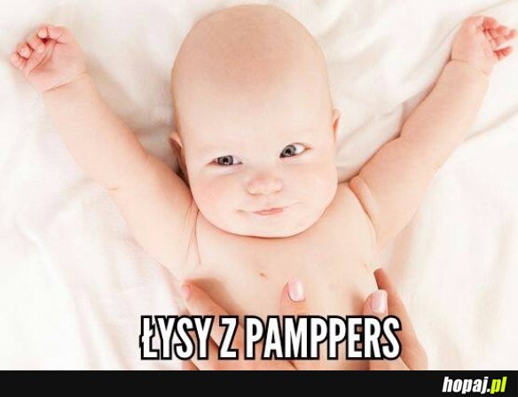 pampers 6 active baby dry 43 szt