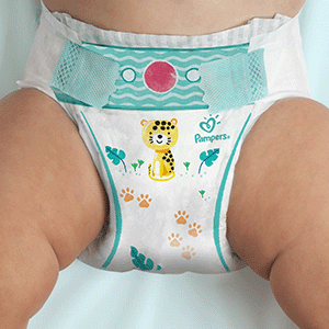 pampers premium care czy pampers new baby dry