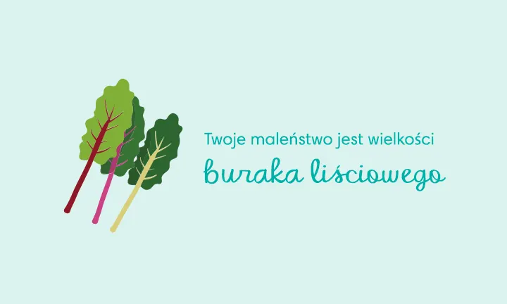 pieluszki tetrowe białe smyk