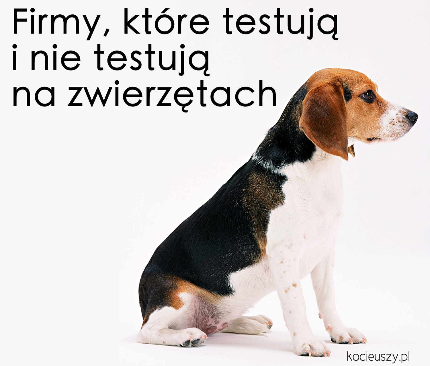 chusteczki nawilżane ffi