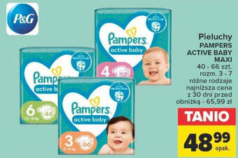 pampers pants fred & flo 4