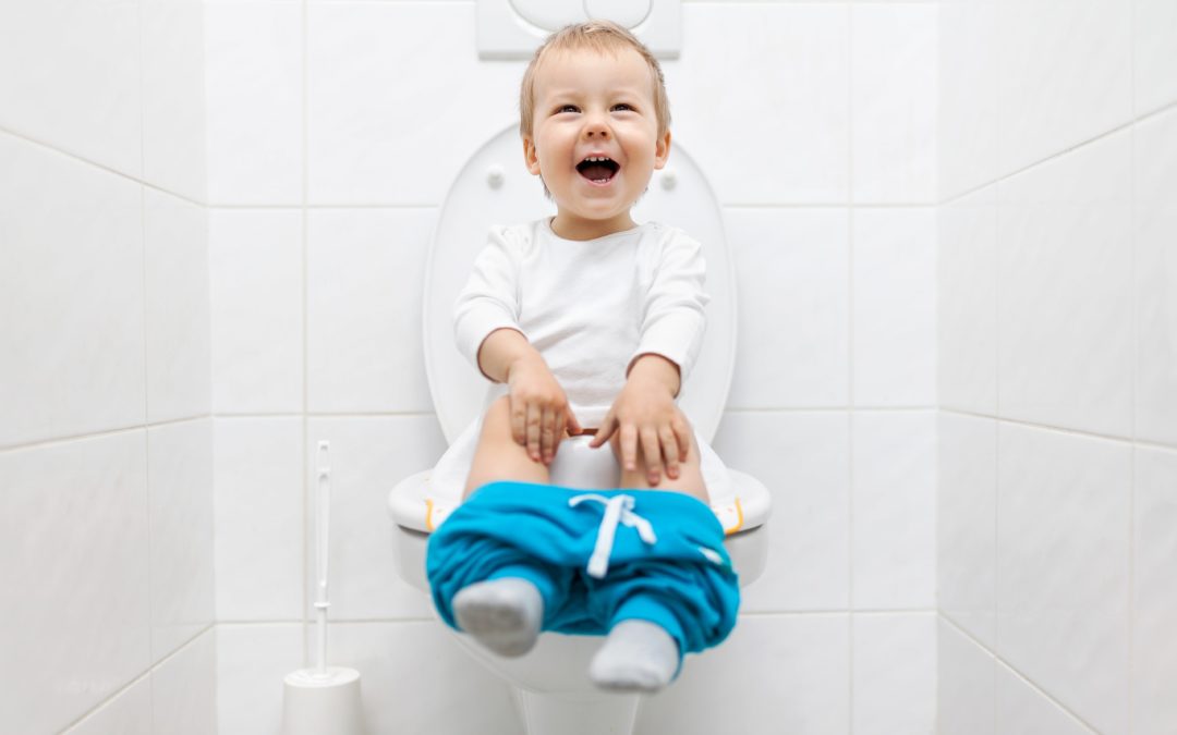 pampers premium care skład sroka oko