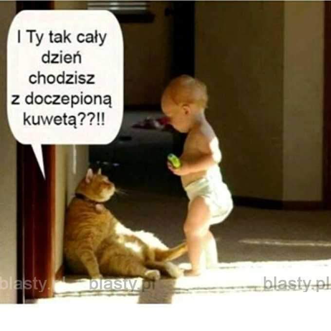 pampers ciaza tydzien