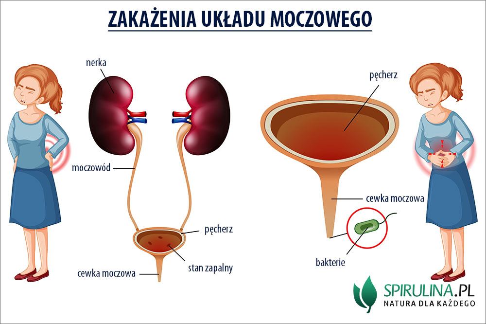 sikanie w nocy czterolatka do pieluchy