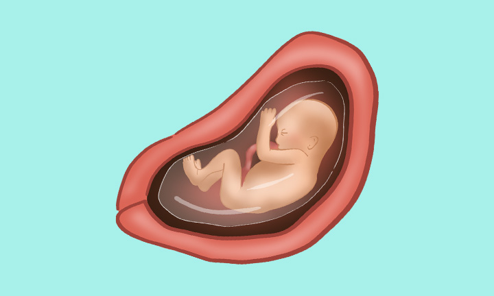 pieluchy anatomiczne san seni plus air dla dorosłych 30 sztuk