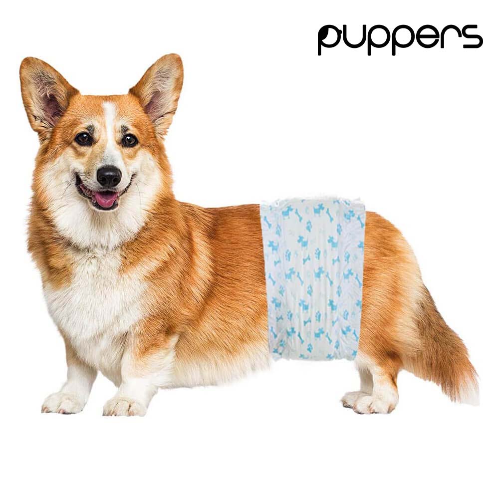 pieluchy jumbo pampers 3