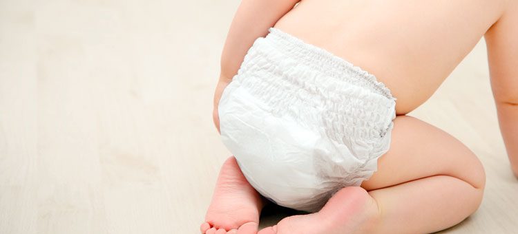 pampers premium care skład pieluszki