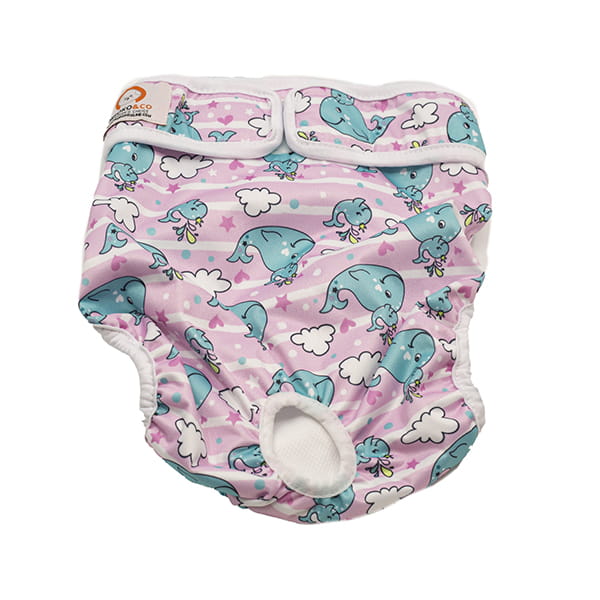 pampers 24 tydzien ciazy