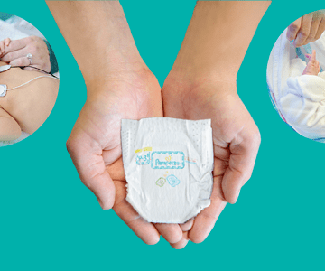 tesco pampers premium care 4 104 sztukicena